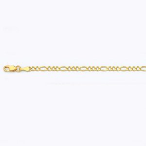 10K 2.5MM YELLOW GOLD SOLID FIGARO 9"