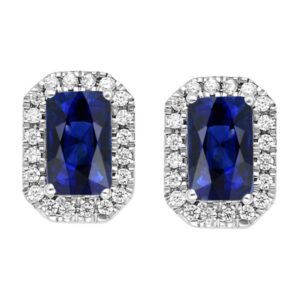 DM 3D COERFC05784CLS BLUE W.JPG