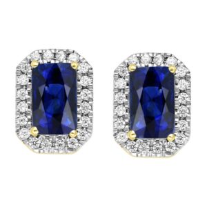DM 3D COERFC05784CLS BLUE Y.JPG