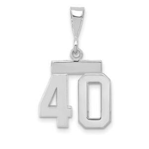 WSP40.jpg
